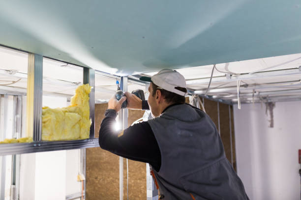 Best DIY Insulation Kits and Guidance in Bagdad, FL